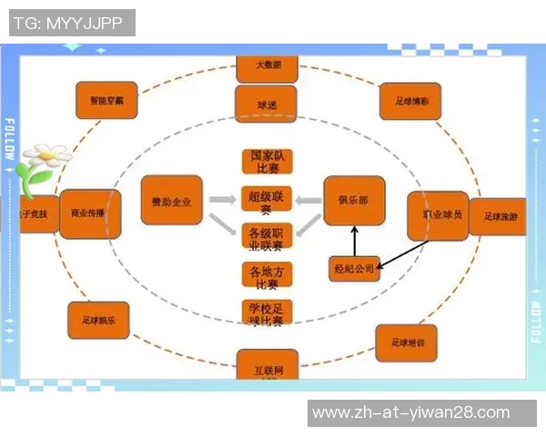 篮球足球球星数量锐减背后的原因及其对体育产业的影响分析